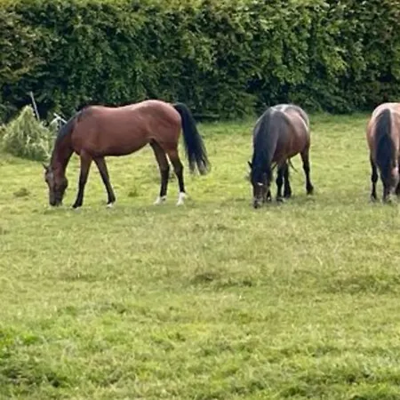 Feriehus Maison En Plein Coeur Du Vexin Drocourt
